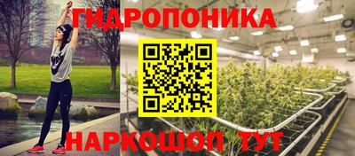 2c-b Гусев