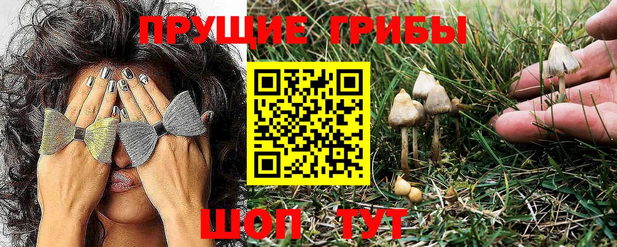 Галлюциногенные грибы MAGIC MUSHROOMS  Галлюциногенные грибы Psilocybe  где продают наркотики  Арсеньев  Вход с VPN 